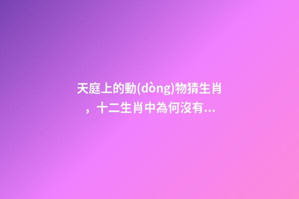 天庭上的動(dòng)物猜生肖，十二生肖中為何沒有“貓”這一屬相